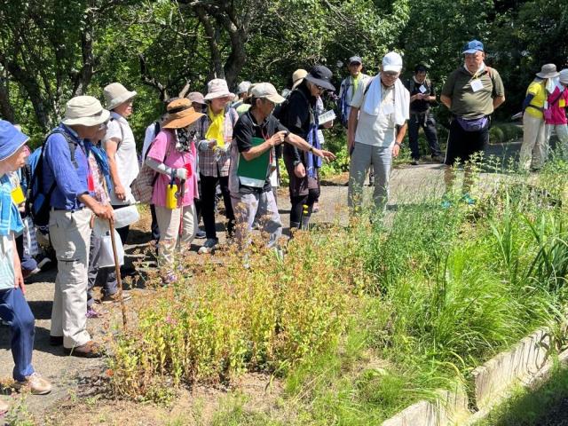 奥州市赤生津コース山野草見学.JPG