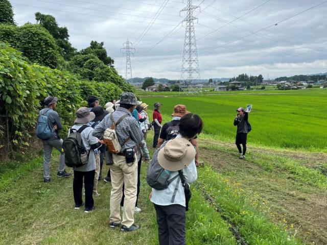 照井堰用水2コース-南北合流地点.JPG
