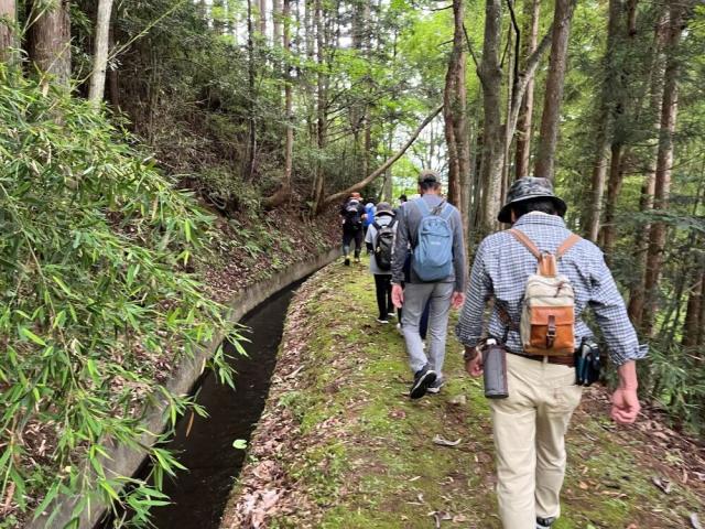 照井堰用水2コース通過点９.JPG