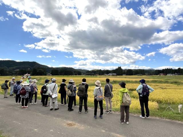 一関市骨寺村荘園コース昔ながらの田んぼ.JPG