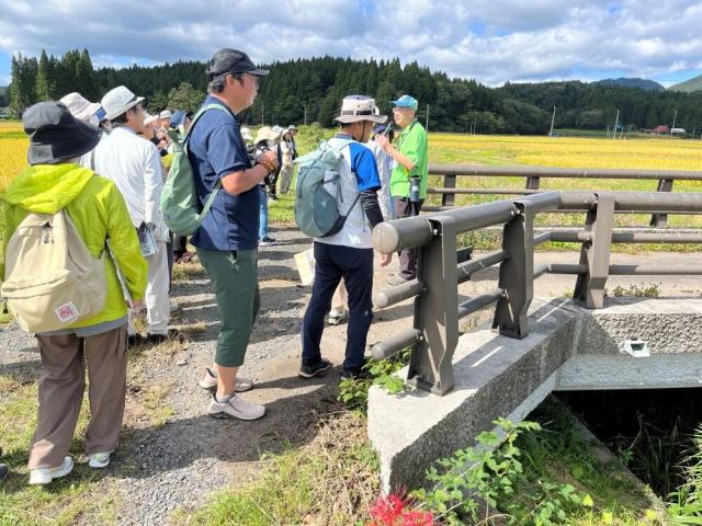 一関市骨寺村荘園コースばっかり橋.JPG