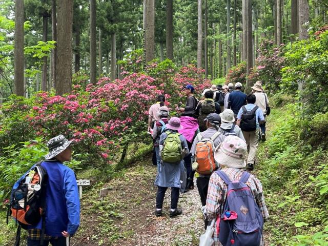 一関市舞川コース①あじさい園２.JPG