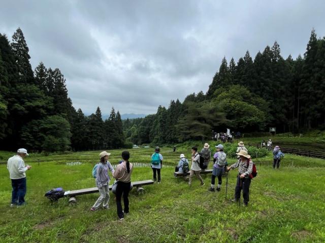 一関市舞川コース①金山棚田２.JPG