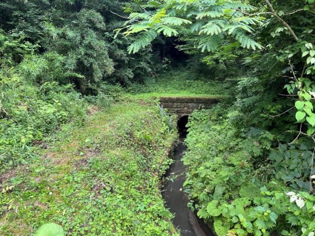 照井堰用水2コース樋の沢隧道出口.JPG