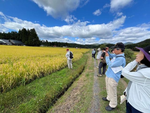 一関市骨寺村荘園コース通過点３.JPG