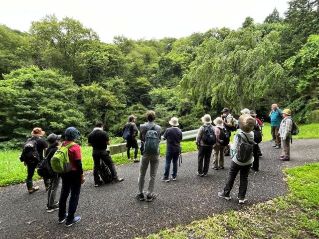 照井堰用水2コース分岐点８.JPG