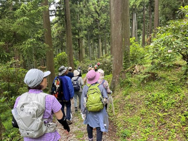 一関市舞川コース①あじさい園１.JPG